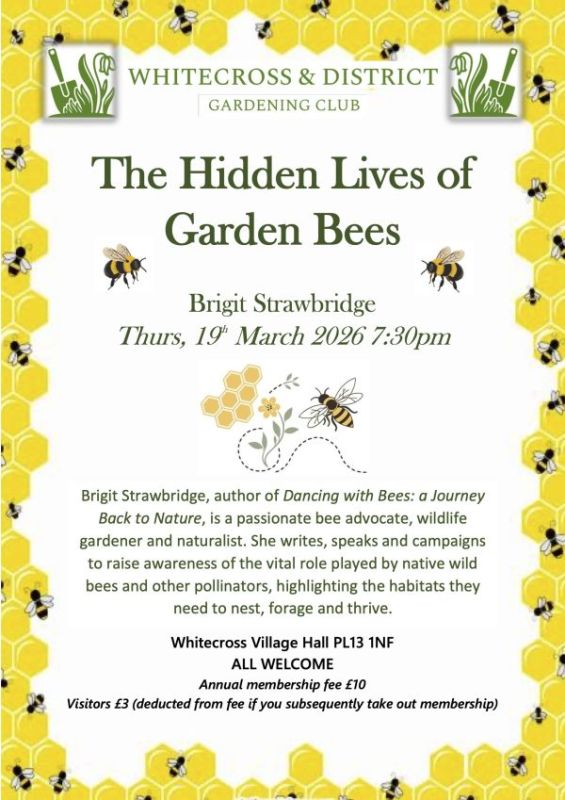 The Hidden Lives of Garden Bees
